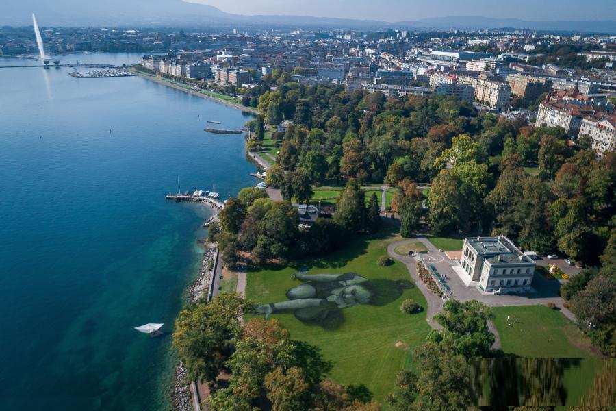 giant landart painting near lake in geneva catching eyes of onlookers