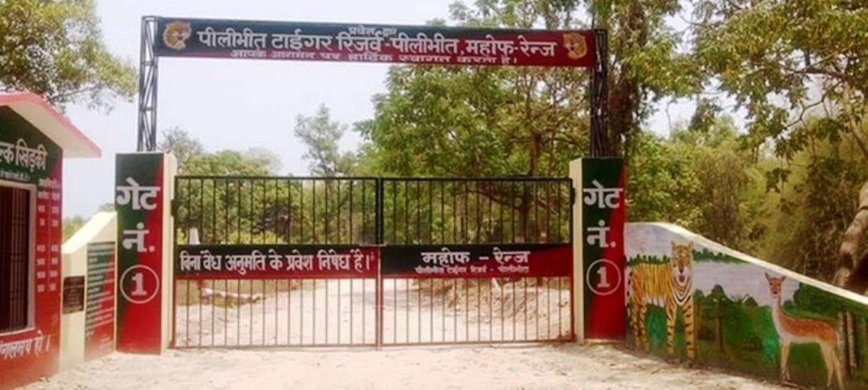 पीलीभीत टाइगर रिज़र्व 