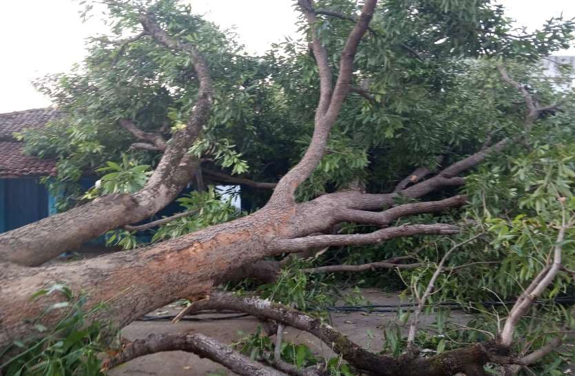 फोटो में देखिए, शुक्रवार को शाम पांच बजते ही मौसम ने कैसे मचाई तबाही