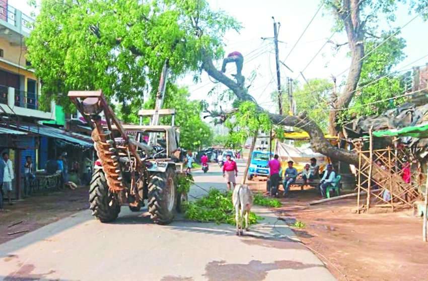 Rain accompanied by thunderstorms in the night, trees inundated