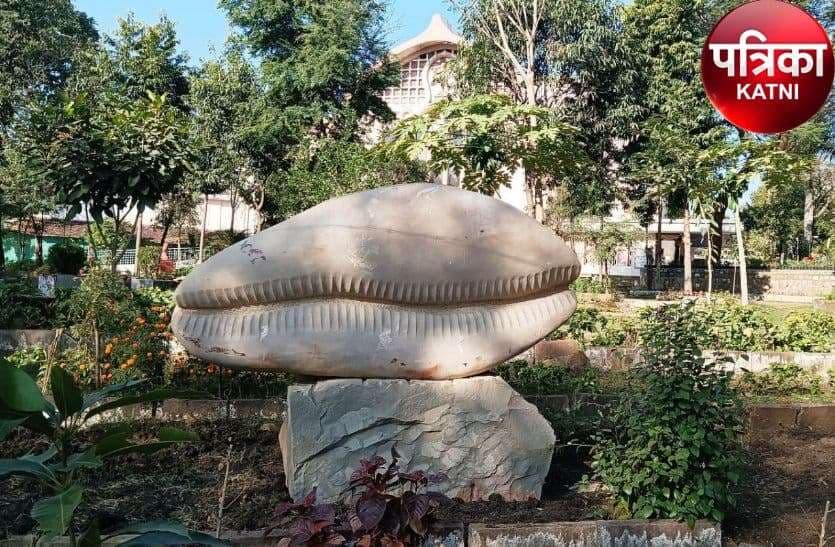 Wonderful stones