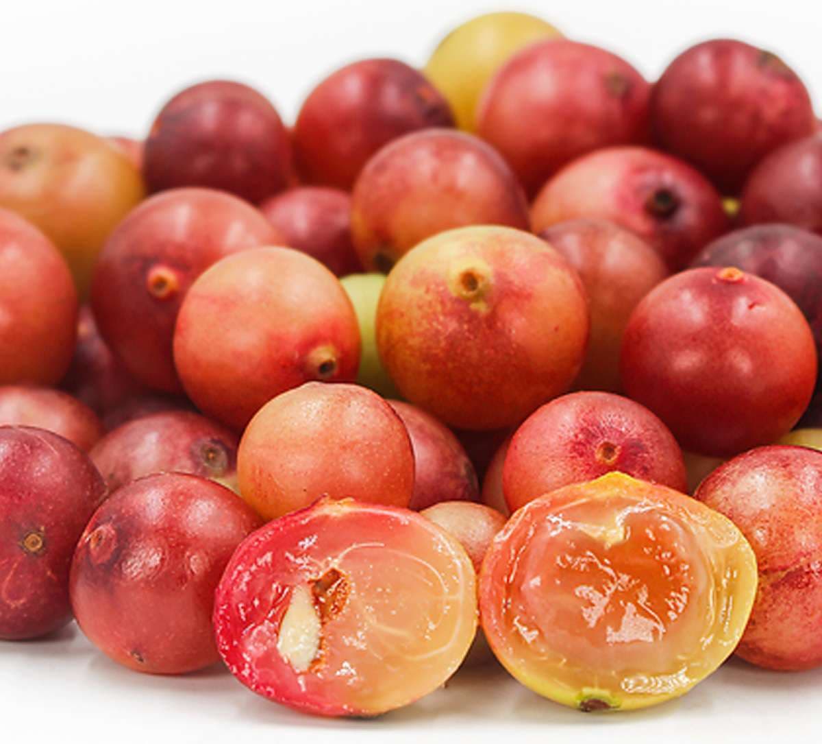 camu-camu-for-immunity.jpg