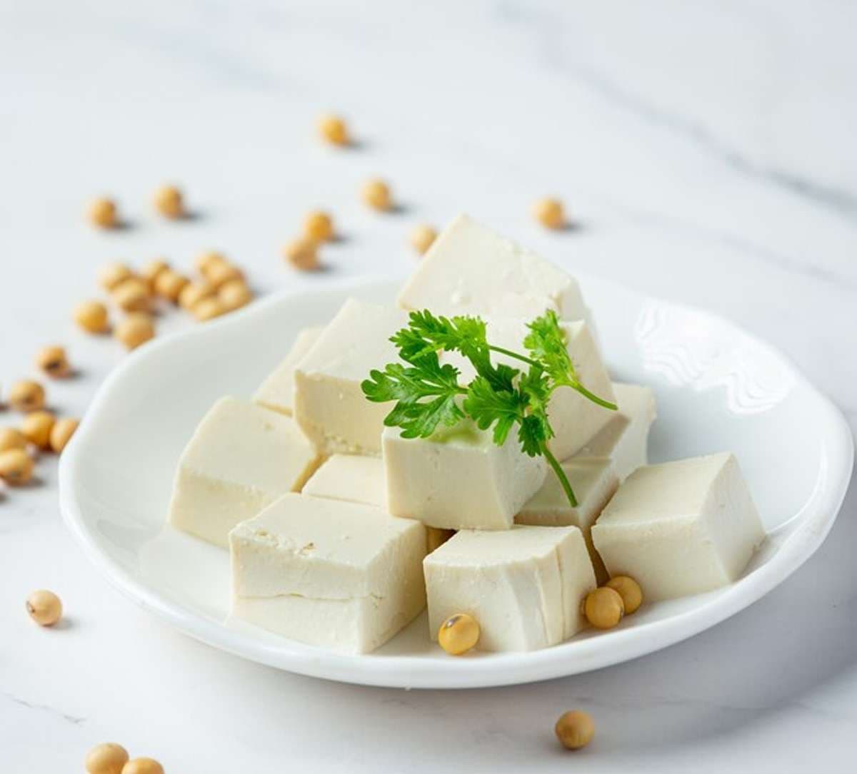 paneer.jpg