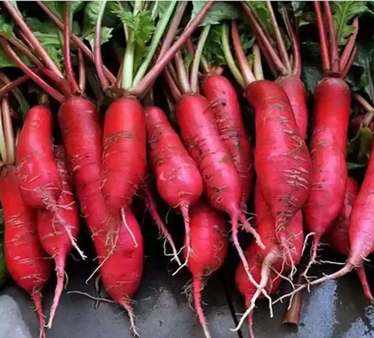 red-radish-in-hindi.jpg