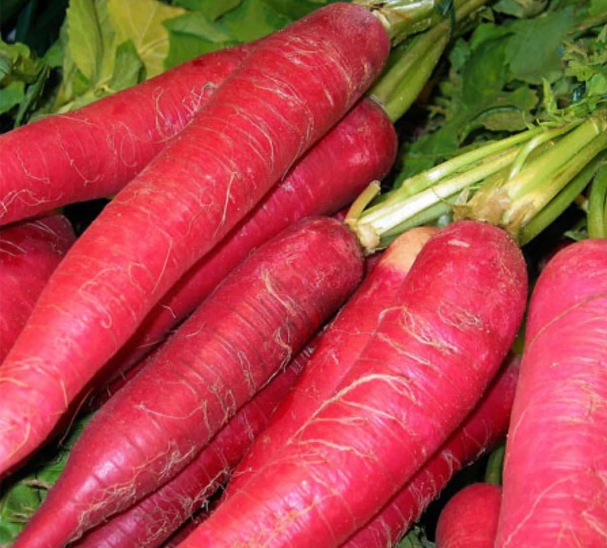 red-radish.jpg