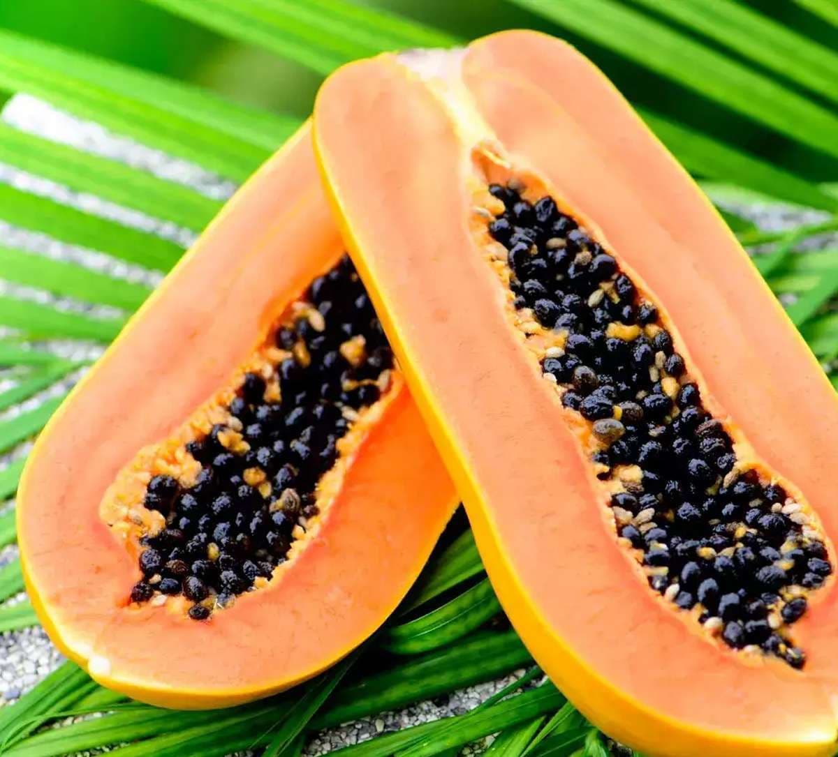 Papaya leaf benefits