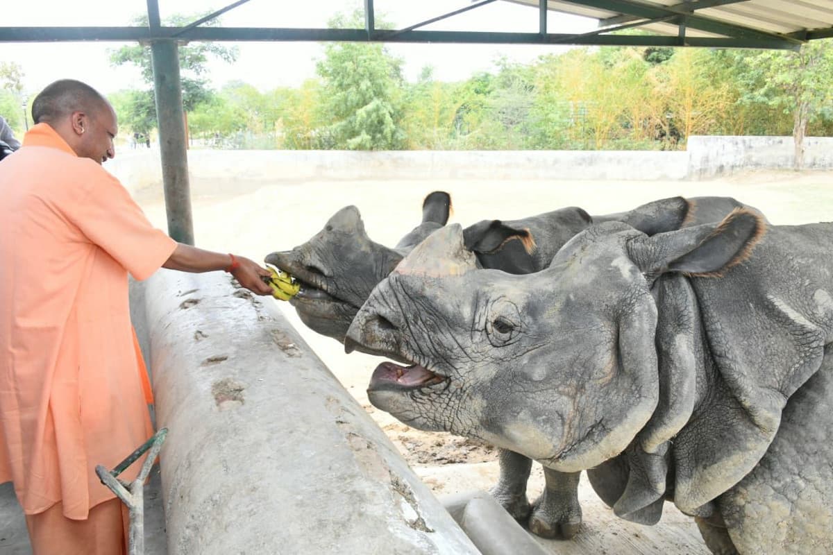 Yogi Adityanath