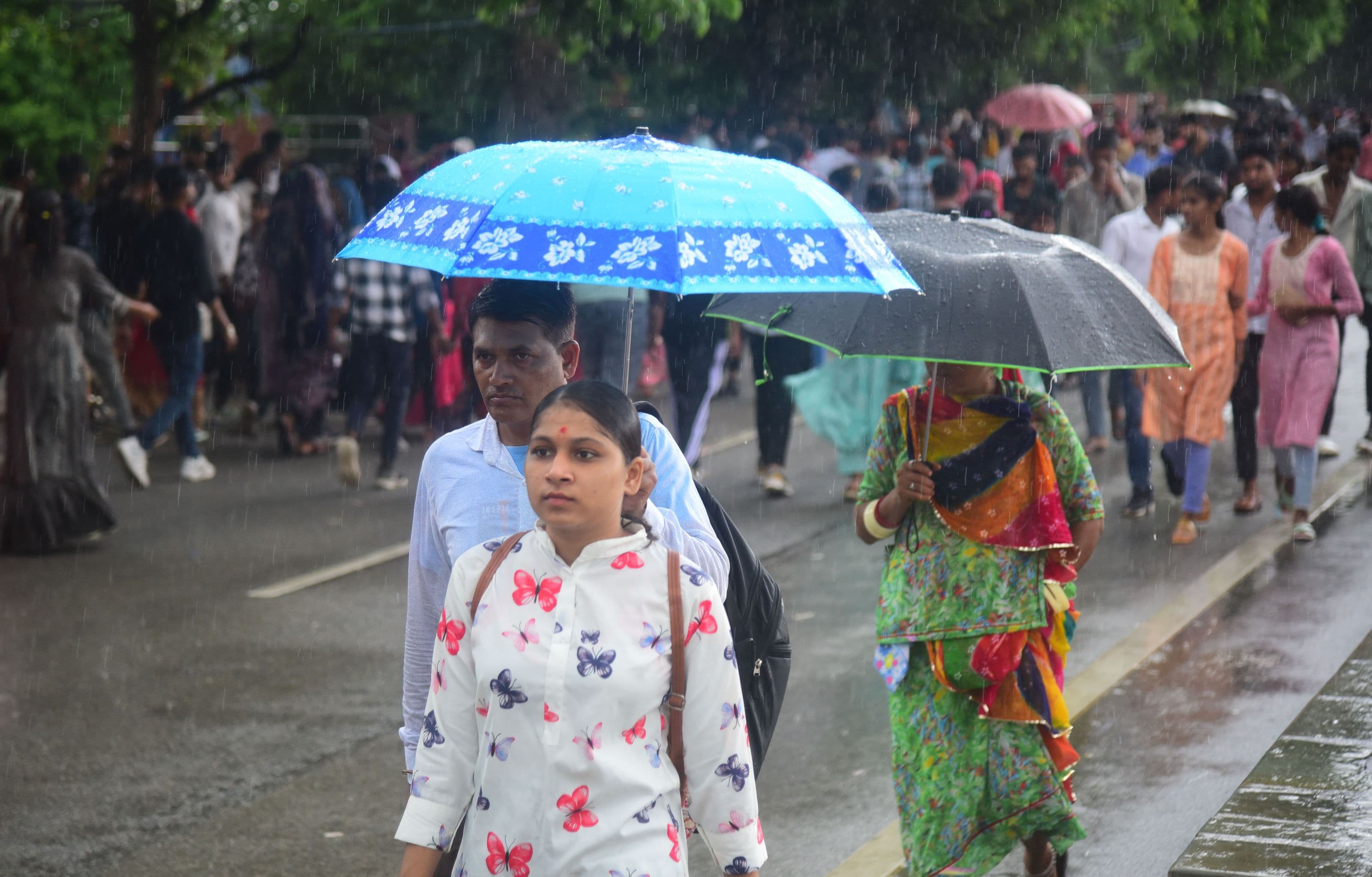 hariyali amavasya mela udaipur