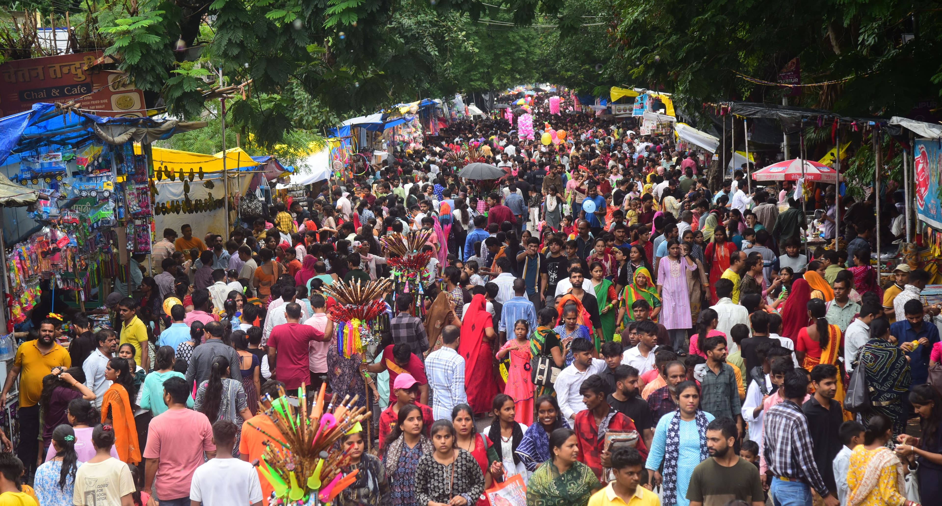 hariyali amavasya mela udaipur