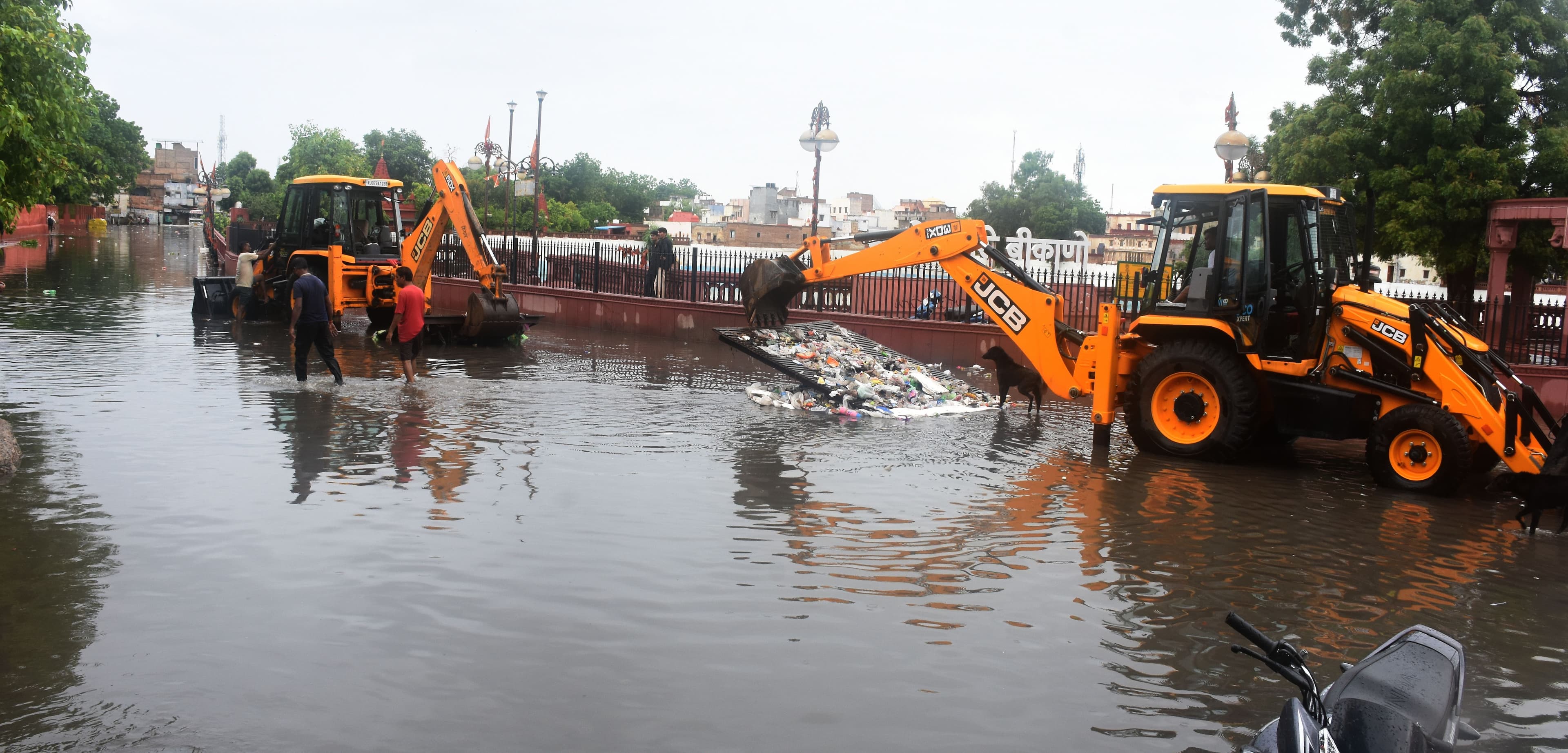 After longing, the monsoon rains finally arrived