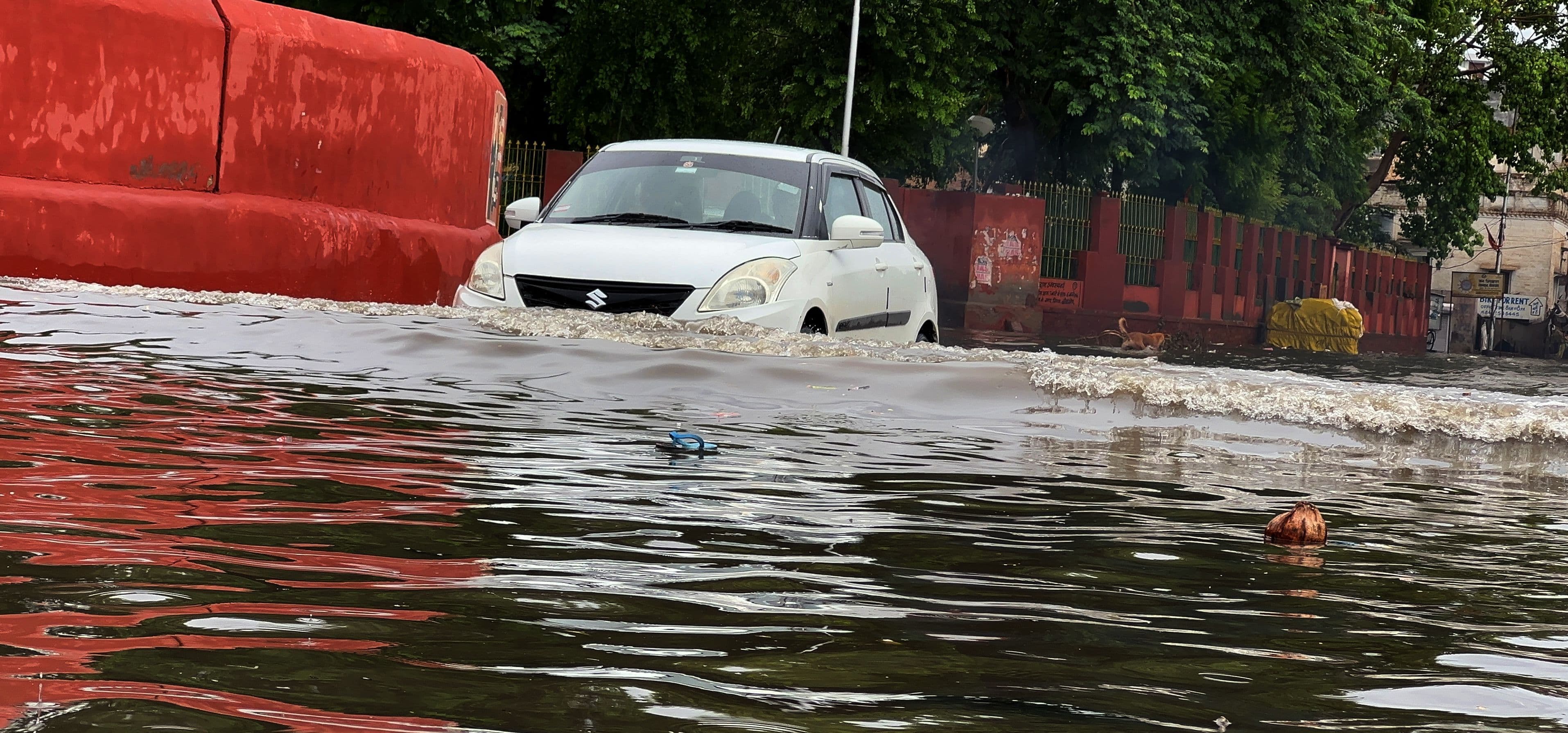 After longing, the monsoon rains finally arrived