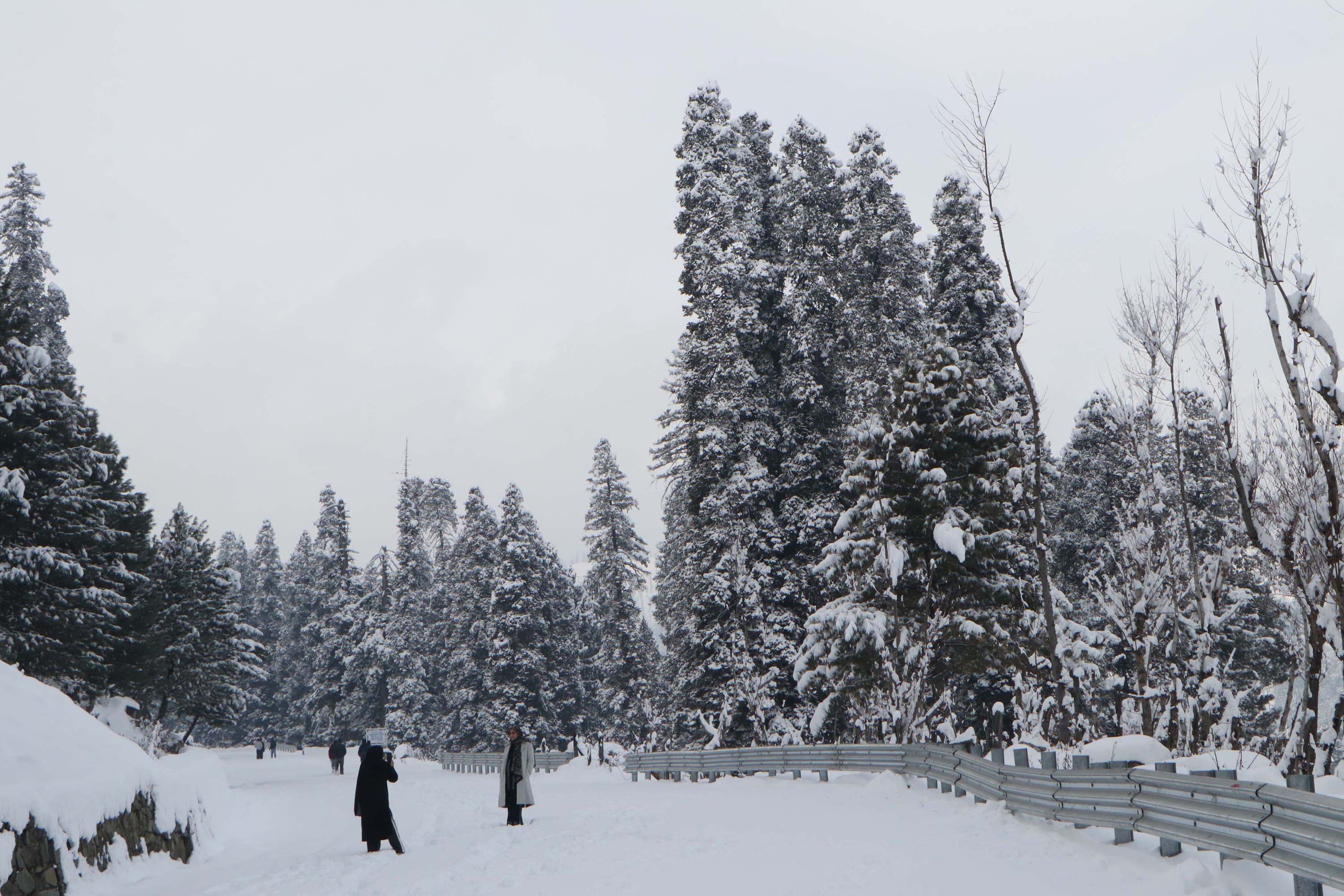 jammu kashmir snowfall 