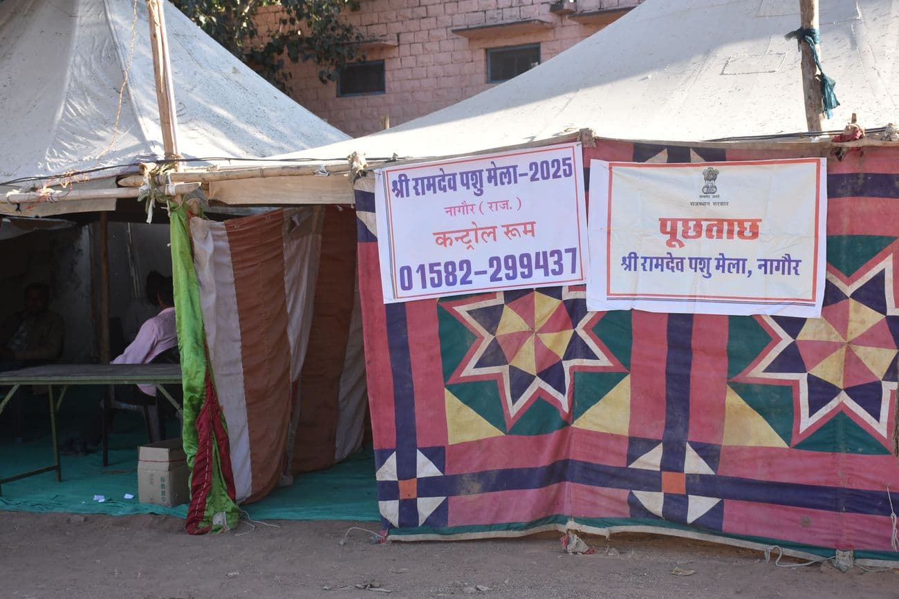 Ramdev cattle fair ground is ready to welcome the cattle herders.