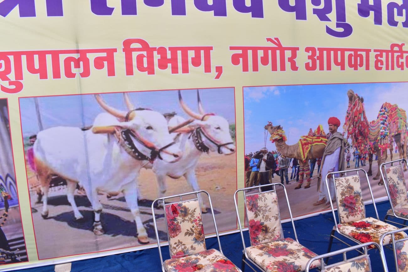 Ramdev Animal Fair is the cultural heritage of the state, it is the responsibility of all of us to preserve it.