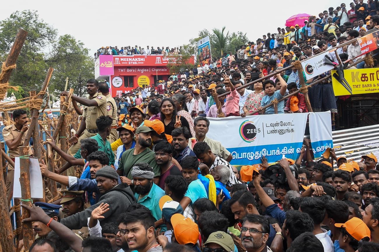 Alanganallur jallikattu