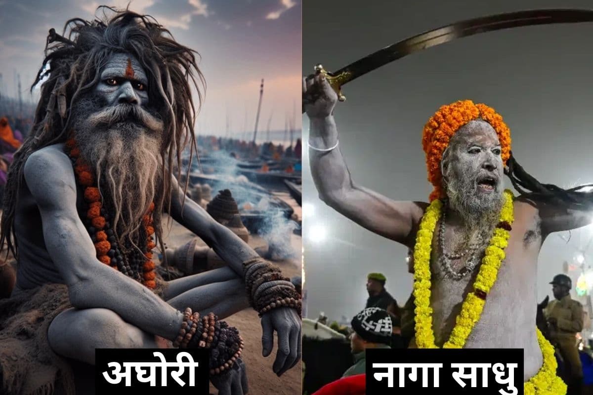 Aghori vs Naga Sadhu