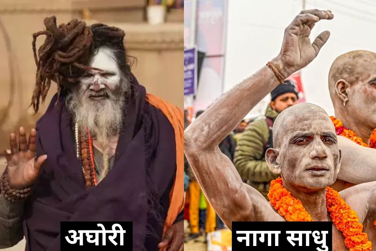 Aghori vs Naga Sadhu