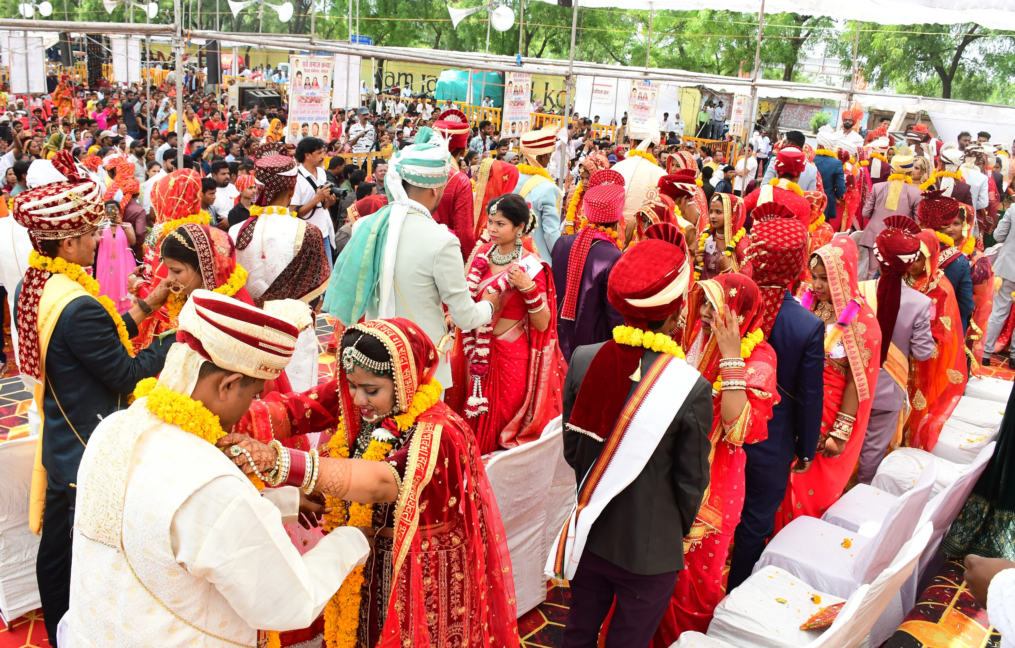 mp news