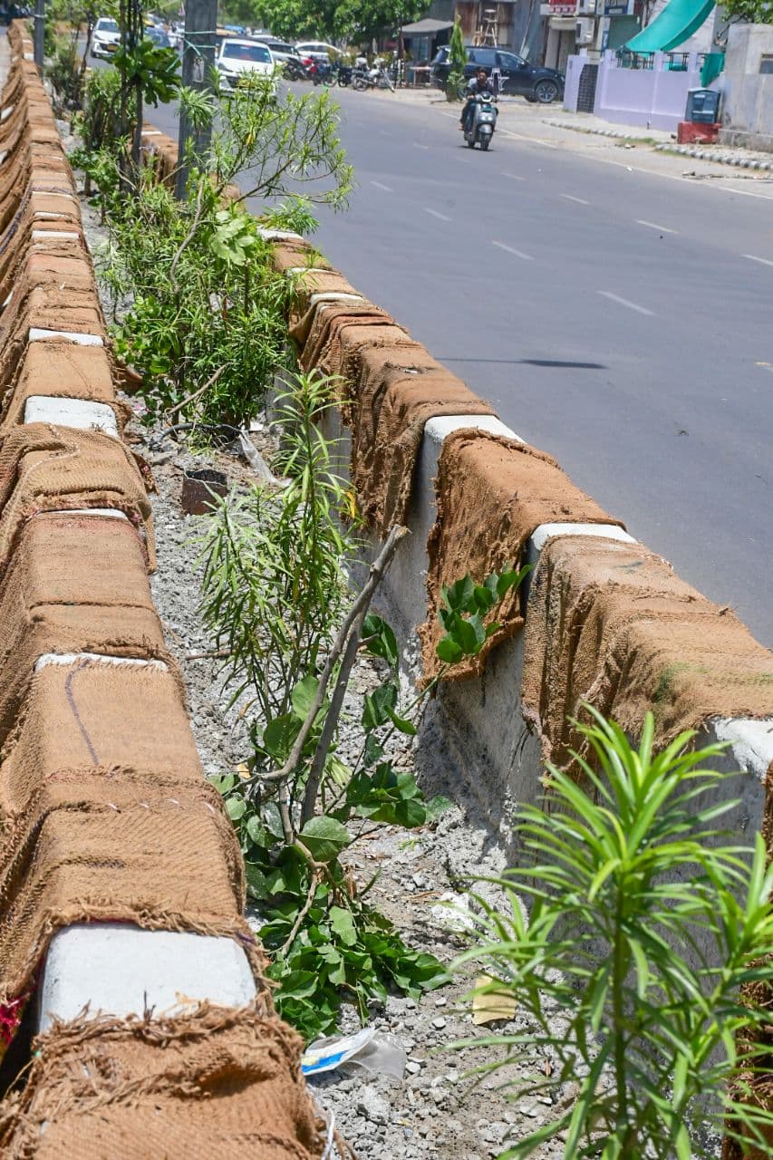Vidhadhar nagar divider work 