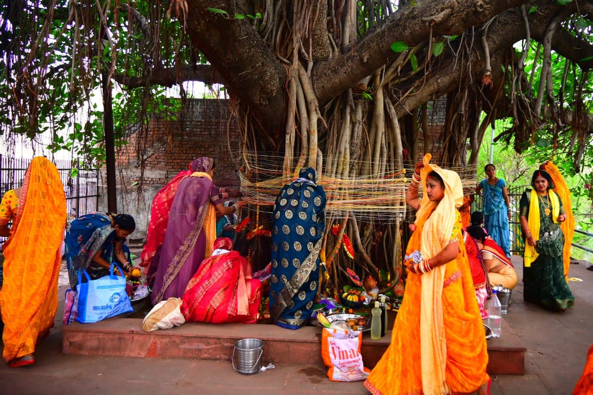 Vat Savitri Puja