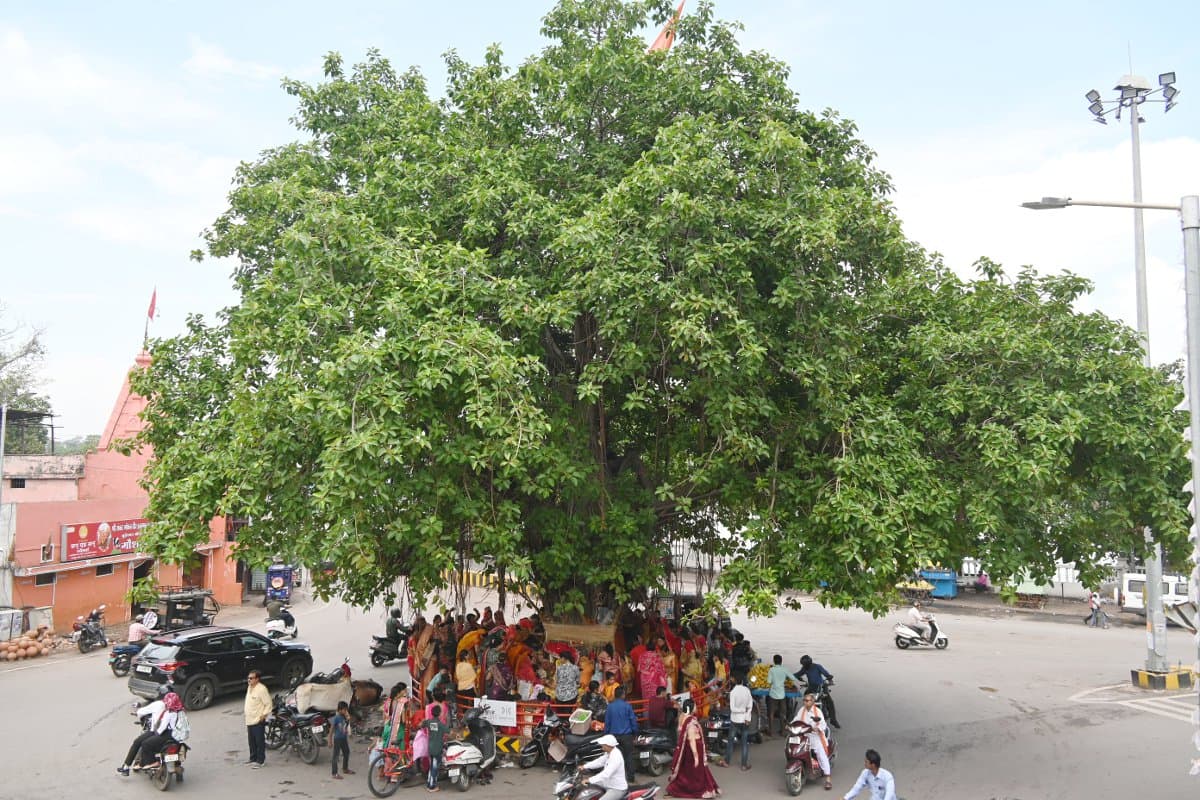Vat Savitri Puja