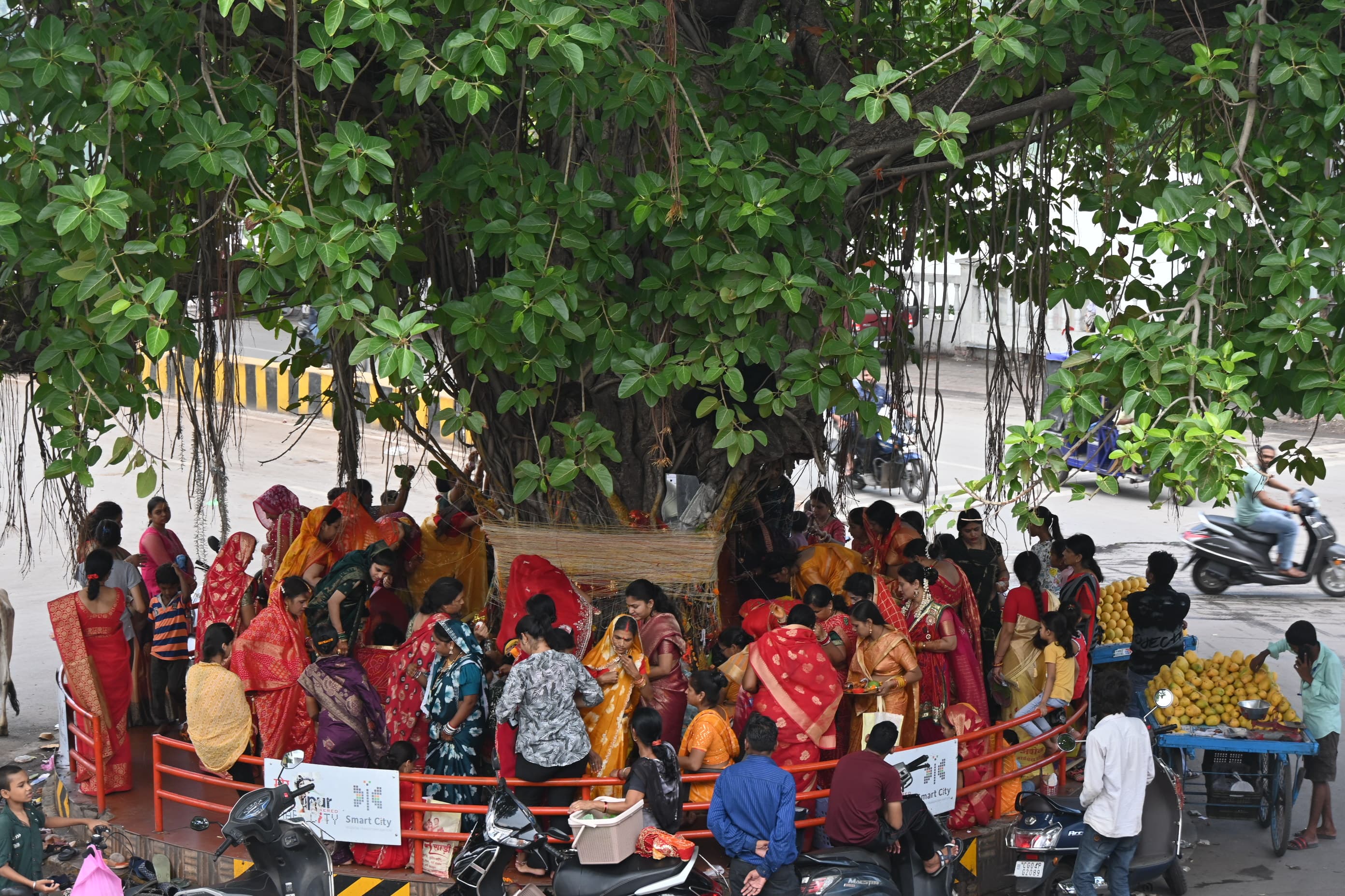 Vat Savitri Puja
