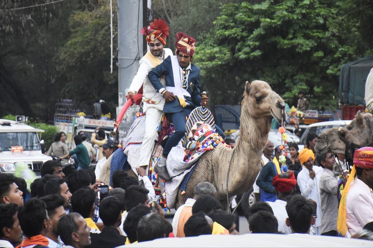 Mass Marrige
