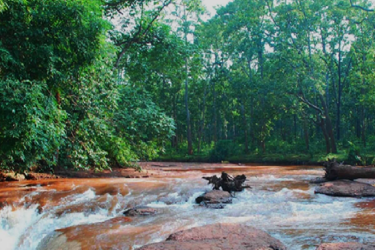 शारदाधाम