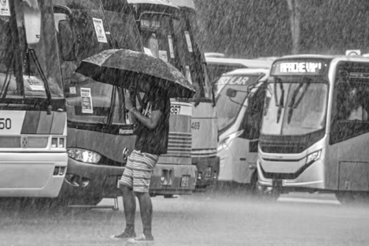 छत्तीसगढ़ में मानसून अलर्ट! अगले कुछ दिनों में बढ़ेगी बारिश की रफ्तार, बंगाल की खाड़ी में बन रहा सिस्टम
