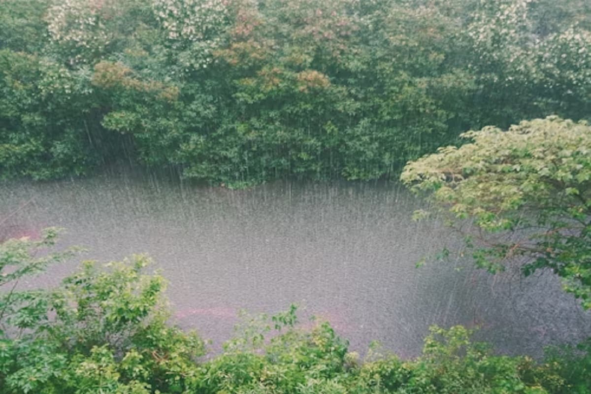 CG Monsoon 2025: 22 जिलों में आंधी-बारिश का यलो अलर्ट जारी, गरज-चमक के साथ चलेंगी तेज हवाएं, देखें ताजा Update
