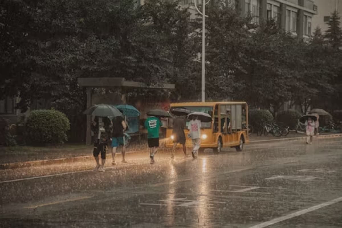 छत्तीसगढ़ में मानसून अलर्ट! अगले कुछ दिनों में बढ़ेगी बारिश की रफ्तार, बंगाल की खाड़ी में बन रहा सिस्टम
