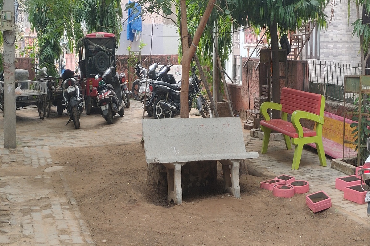 पार्क में हरियाली गायब हो रही है। आवारा श्वानों ने डेरा जमा रखा है। ऐसे में बच्चे पार्क में आने से भी कतराते हैं।  