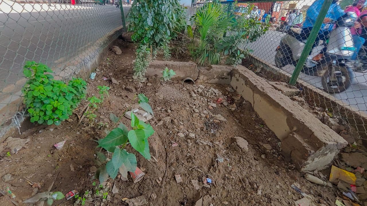Rain water harvesting system 
